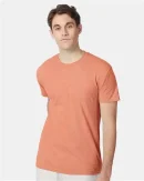 Hanes Perfect-T Triblend T-Shirt